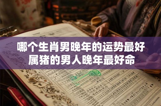 哪个生肖男晚年的运势最好 属猪的男人晚年最好命