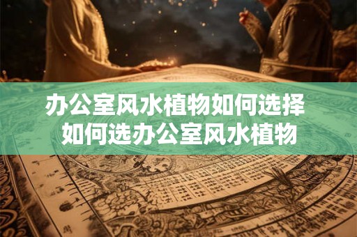 办公室风水植物如何选择 如何选办公室风水植物