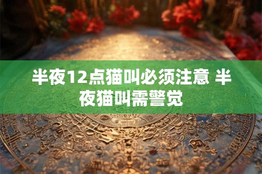 半夜12点猫叫必须注意 半夜猫叫需警觉 半夜12点猫叫必须注意 半夜猫叫需警觉