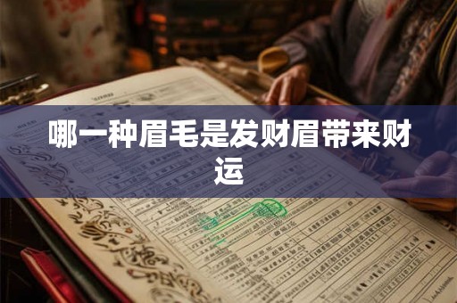 哪一种眉毛是发财眉带来财运