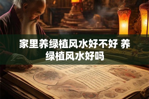 家里养绿植风水好不好 养绿植风水好吗 家里养绿植风水好不好 养绿植风水好吗