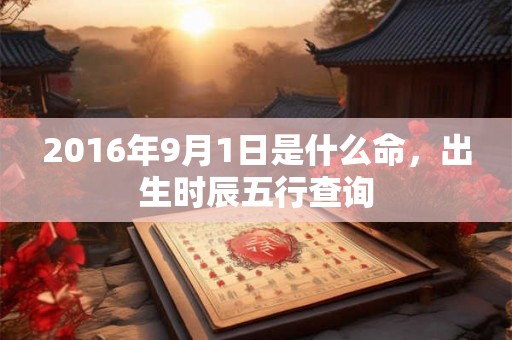 2016年9月1日是什么命,出生时辰五行查询 2016年9月1日是什么命,出生时辰五行查询