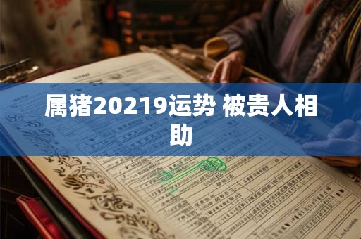 属猪20219运势 被贵人相助