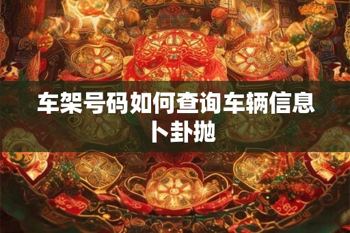 车架号码如何查询车辆信息  卜卦抛