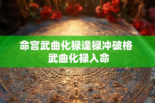 命宫武曲化禄逢禄冲破格  武曲化禄入命