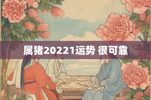 属猪20221运势 很可靠