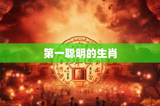第一聪明的生肖 第一聪明的生肖