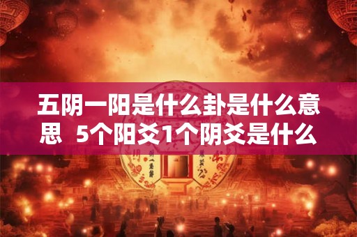 五阴一阳是什么卦是什么意思  5个阳爻1个阴爻是什么卦