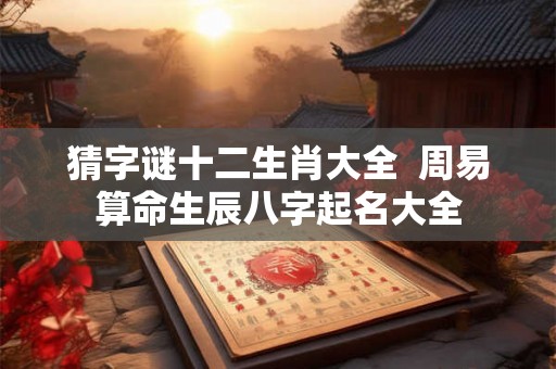 猜字谜十二生肖大全  周易算命生辰八字起名大全