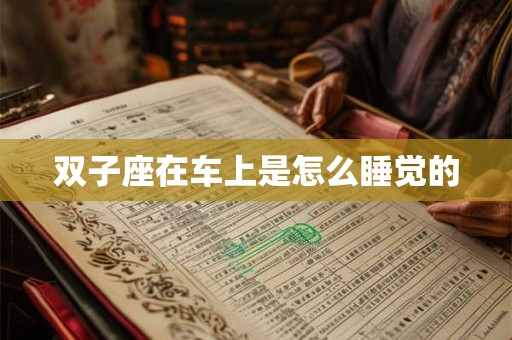 双子座在车上是怎么睡觉的