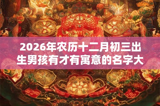2026年农历十二月初三出生男孩有才有寓意的名字大全
