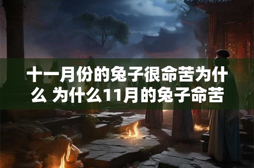 十一月份的兔子很命苦为什么 为什么11月的兔子命苦