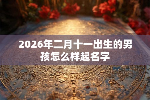 2026年二月十一出生的男孩怎么样起名字 2026年二月十一出生的男孩怎么样起名字