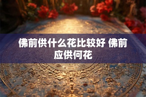 佛前供什么花比较好 佛前应供何花
