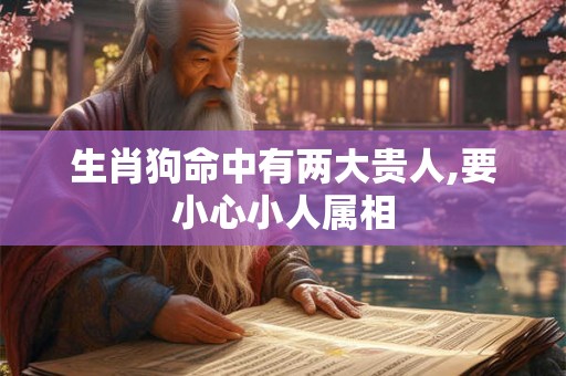 生肖狗命中有两大贵人,要小心小人属相