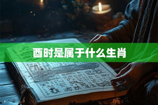 酉时是属于什么生肖