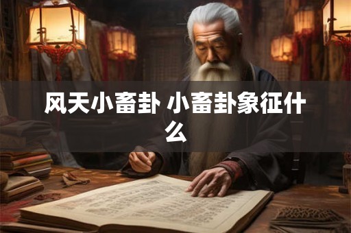 风天小畜卦 小畜卦象征什么