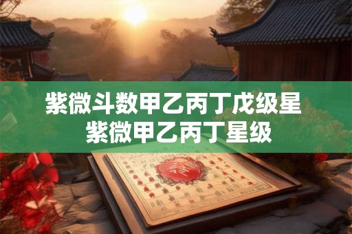紫微斗数甲乙丙丁戊级星  紫微甲乙丙丁星级