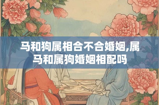 马和狗属相合不合婚姻,属马和属狗婚姻相配吗