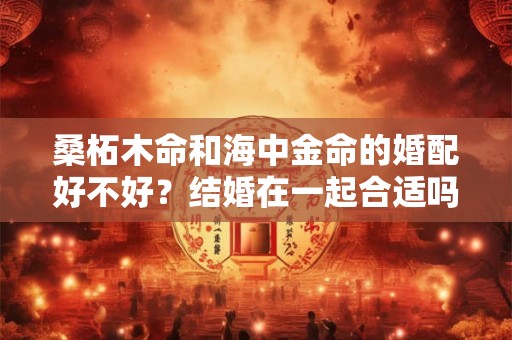 桑柘木命和海中金命的婚配好不好？结婚在一起合适吗？