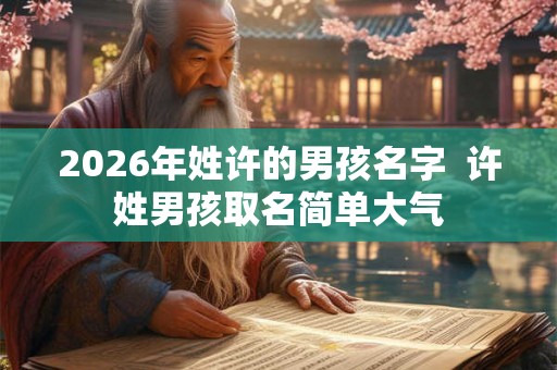 2026年姓许的男孩名字  许姓男孩取名简单大气