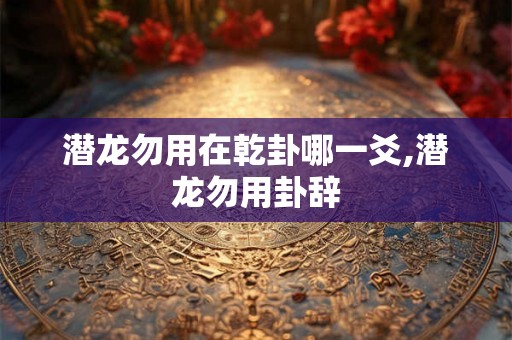 潜龙勿用在乾卦哪一爻,潜龙勿用卦辞