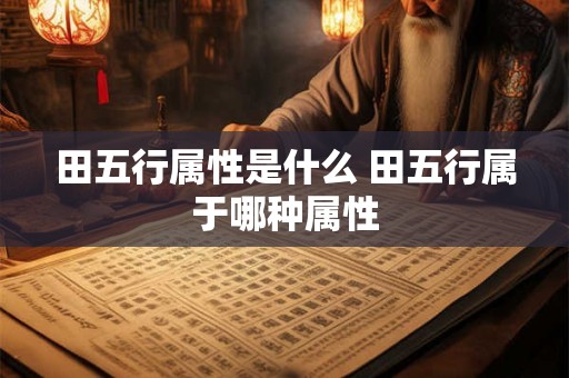 田五行属性是什么 田五行属于哪种属性
