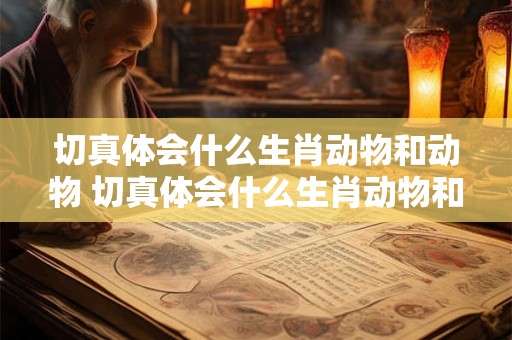 切真体会什么生肖动物和动物 切真体会什么生肖动物和动物 切真体会什么生肖动物和动物 切真体会什么生肖动物和动物