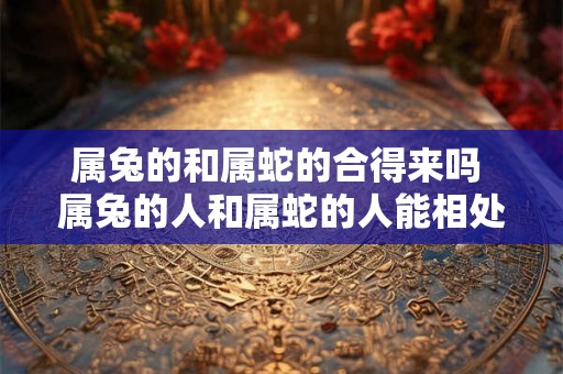 属兔的和属蛇的合得来吗 属兔的人和属蛇的人能相处得好吗