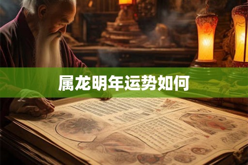 属龙明年运势如何
