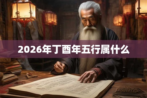 2026年丁酉年五行属什么