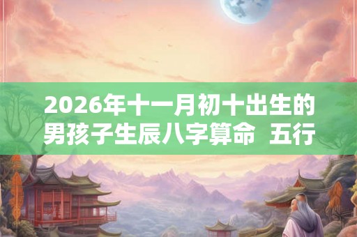 2026年十一月初十出生的男孩子生辰八字算命  五行属性