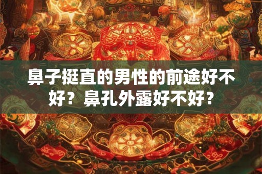 鼻子挺直的男性的前途好不好?鼻孔外露好不好? 鼻子挺直的男性的前途好不好?鼻孔外露好不好?