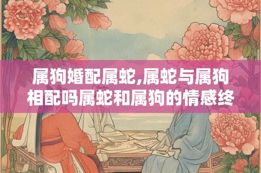 属狗婚配属蛇,属蛇与属狗相配吗属蛇和属狗的情感终极配对