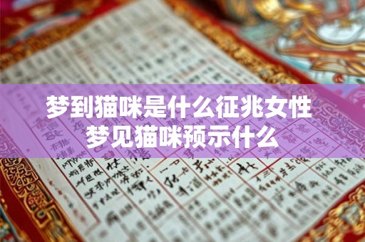 梦到猫咪是什么征兆女性 梦见猫咪预示什么