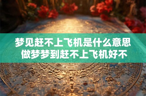 梦见赶不上飞机是什么意思 做梦梦到赶不上飞机好不好