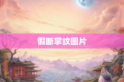 假断掌纹图片