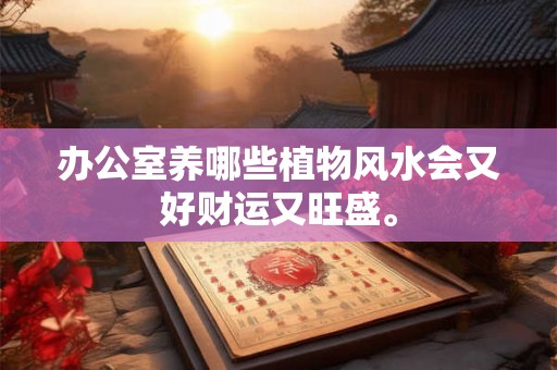办公室养哪些植物风水会又好财运又旺盛。
