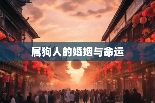 属狗人的婚姻与命运