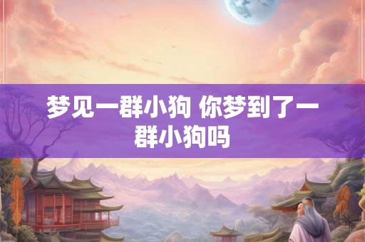 梦见一群小狗 你梦到了一群小狗吗 梦见一群小狗 你梦到了一群小狗吗