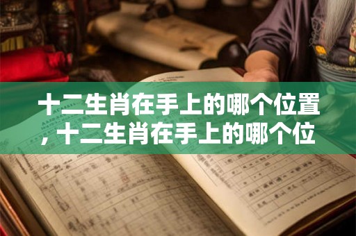 十二生肖在手上的哪个位置, 十二生肖在手上的哪个位置