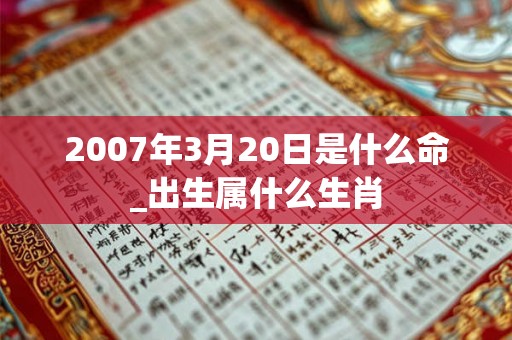 2007年3月20日是什么命_出生属什么生肖