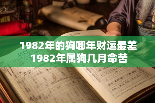 1982年的狗哪年财运最差 1982年属狗几月命苦