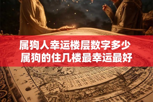 属狗人幸运楼层数字多少 属狗的住几楼最幸运最好