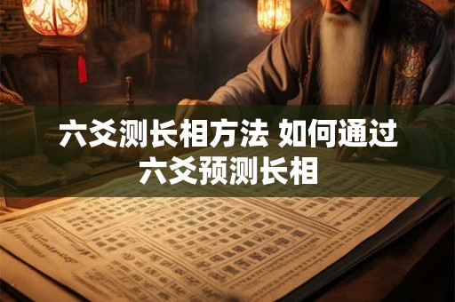 六爻测长相方法 如何通过六爻预测长相