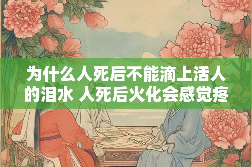为什么人死后不能滴上活人的泪水 人死后火化会感觉疼吗 为什么人死后不能滴上活人的泪水 人死后火化会感觉疼吗