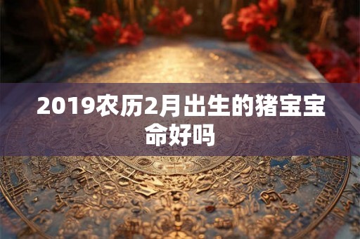 2019农历2月出生的猪宝宝命好吗