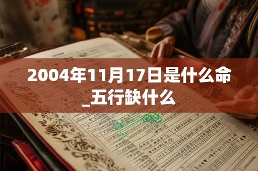 2004年11月17日是什么命_五行缺什么