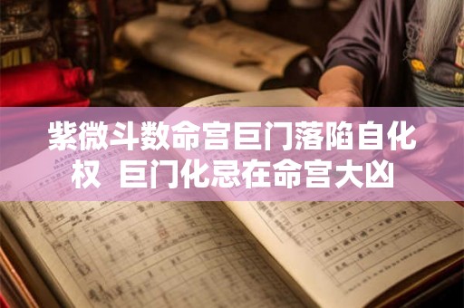 紫微斗数命宫巨门落陷自化权  巨门化忌在命宫大凶