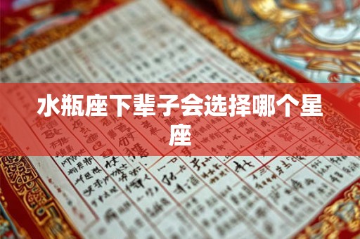 水瓶座下辈子会选择哪个星座